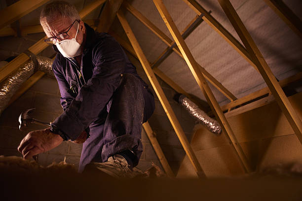 Professional Insulation Contractor in Pierce, NE